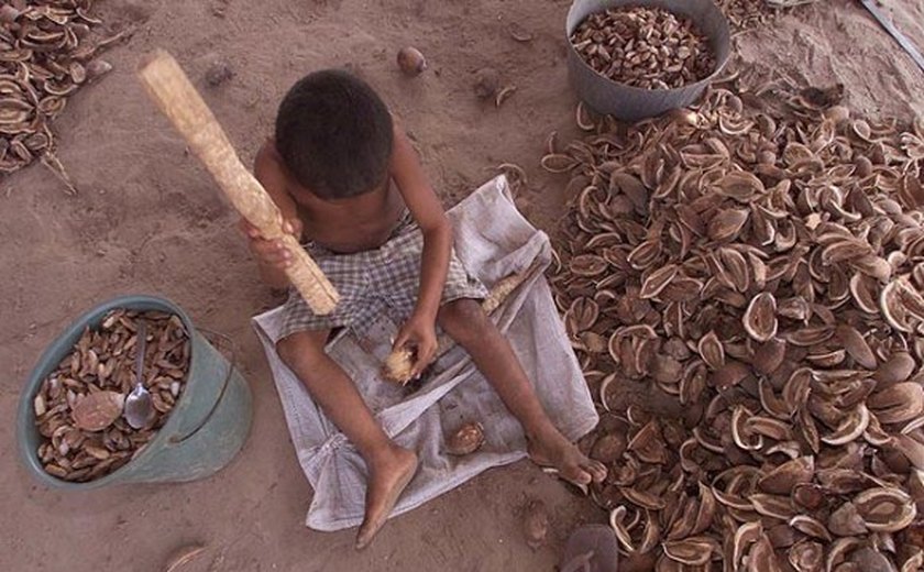 Alagoas se prepara para mobilização em defesa da erradicação do trabalho infantil