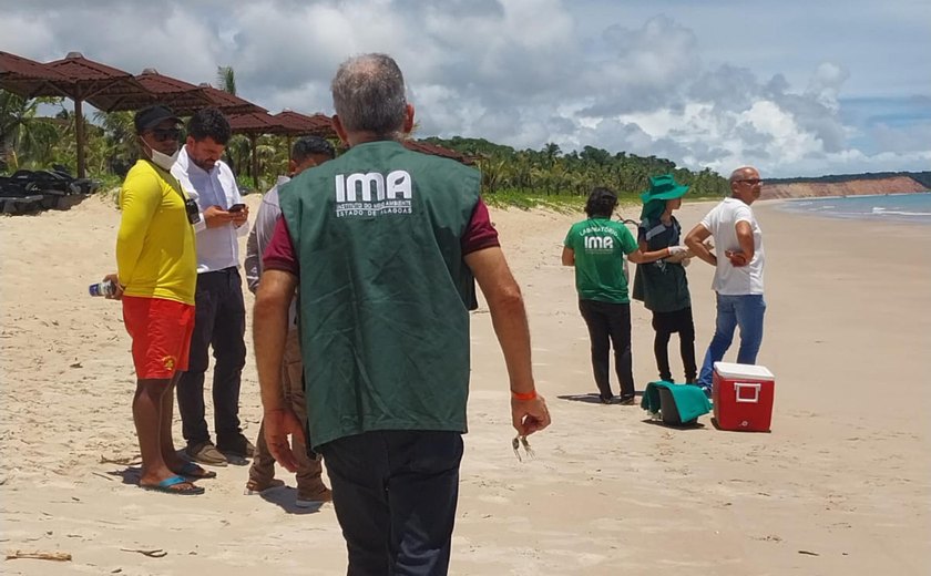 IMA investiga possível Maré Vermelha no litoral de Barra de Santo Antônio