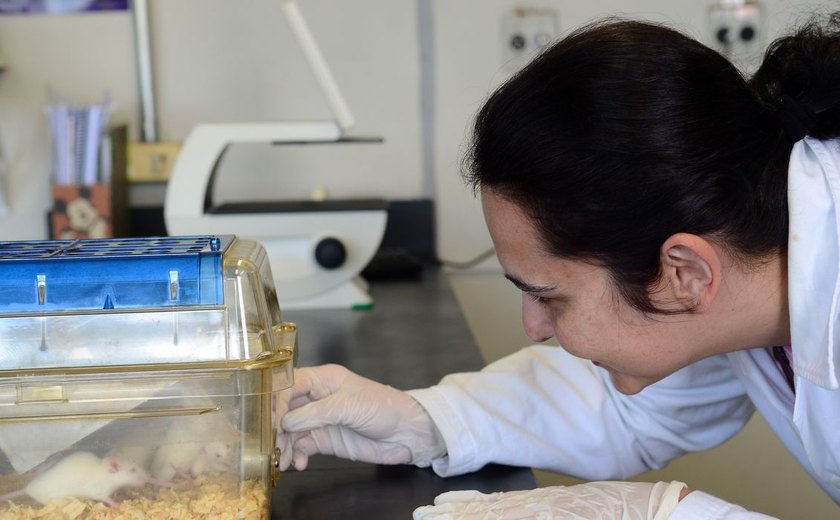 Tecidos feitos em laboratório podem aperfeiçoar testes de medicamentos