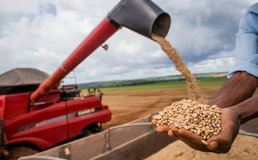 México: novo governo anuncia plano agrícola para impulsionar produção de feijão e milho