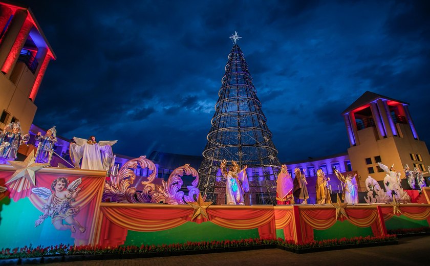 É dia de montar a árvore de Natal! Entenda a tradição e veja dicas da decoradora das famosas para se inspirar