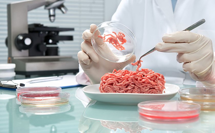Empresas produzem alimentos em laboratório que substituem carne e ovo