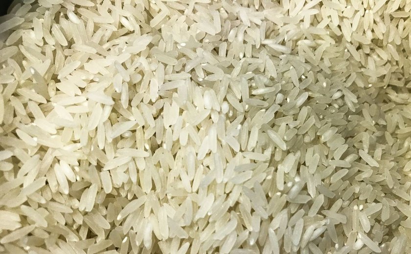 Polícia Federal abre investigação sobre leilão de arroz