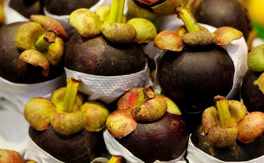 Mangostim: conheça fruta indonésia que superou a jabuticaba em lista de melhores do mundo