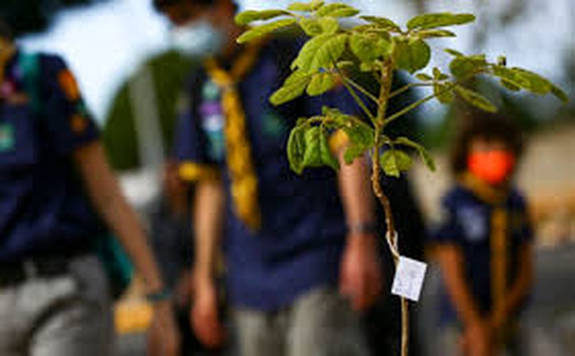 Sustentabilidade: empresas do agronegócio investem na agenda ESG, mostra pesquisa