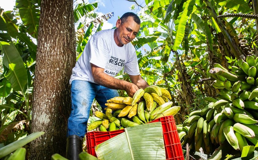Cooperativas da agricultura familiar contribuem para o desenvolvimento econômico de Alagoas
