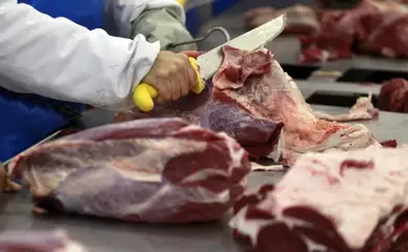 Carnes: EUA farão auditoria em maio no sistema de sanidade pecuária brasileiro