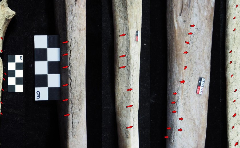 Misteriosas marcas de ferramentas são encontradas em ossos de bebê de 8.000 anos na China (FOTOS)