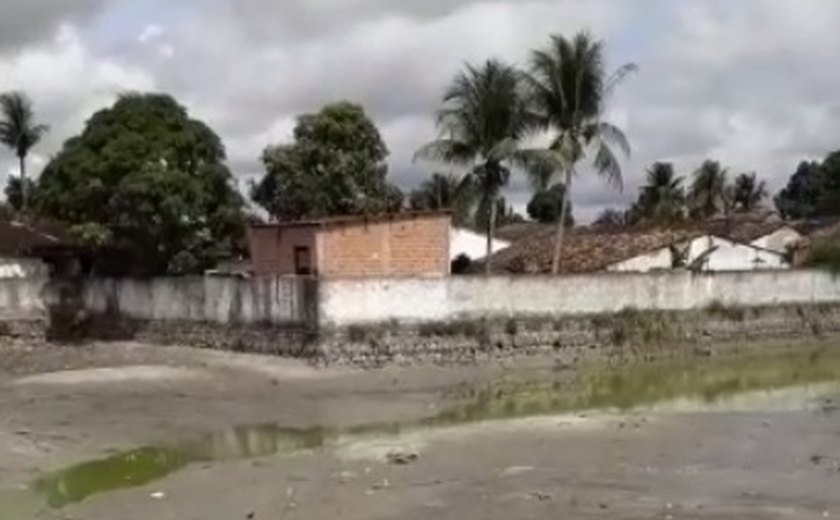 Ação da prefeitura de Pilar retira jacarés de dentro de lago da cidade