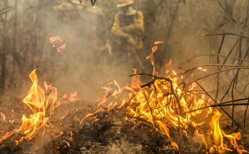 Focos de incêndio no Pantanal estão sob investigação da PF, diz Marina