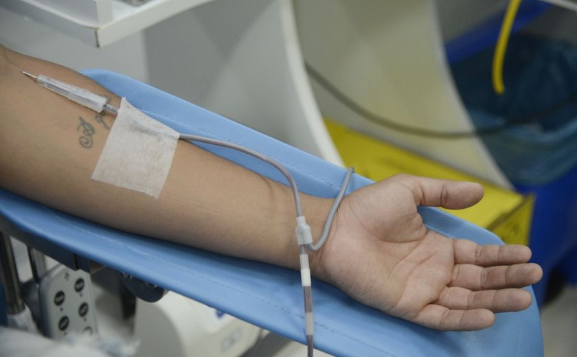 Dia Mundial do Doador de Sangue: saiba mais sobre a doação regular