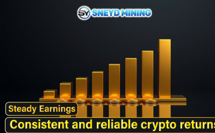 A SNEYD Mining oferece uma solução de renda passiva estável, segura e confiável.