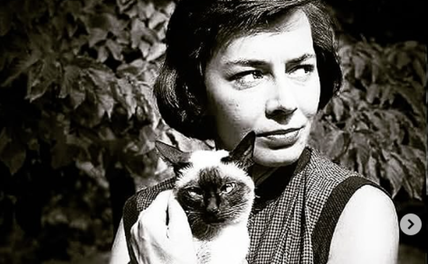 Tom Ripley: por que o vigarista de Patricia Highsmith é tão fascinante? Especialistas analisam