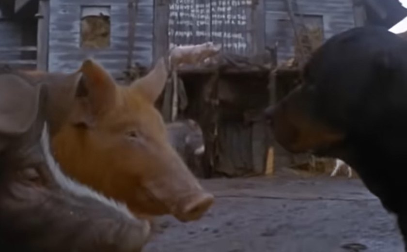 Animação de 'A Revolução dos bichos' ganha primeiro teaser