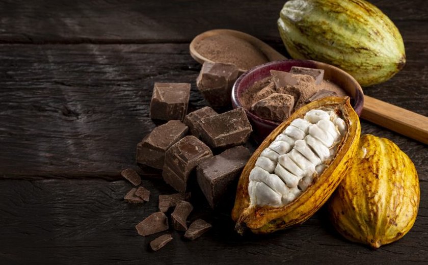 Comissão debate sustentabilidade na produção e na comercialização de cacau e chocolate