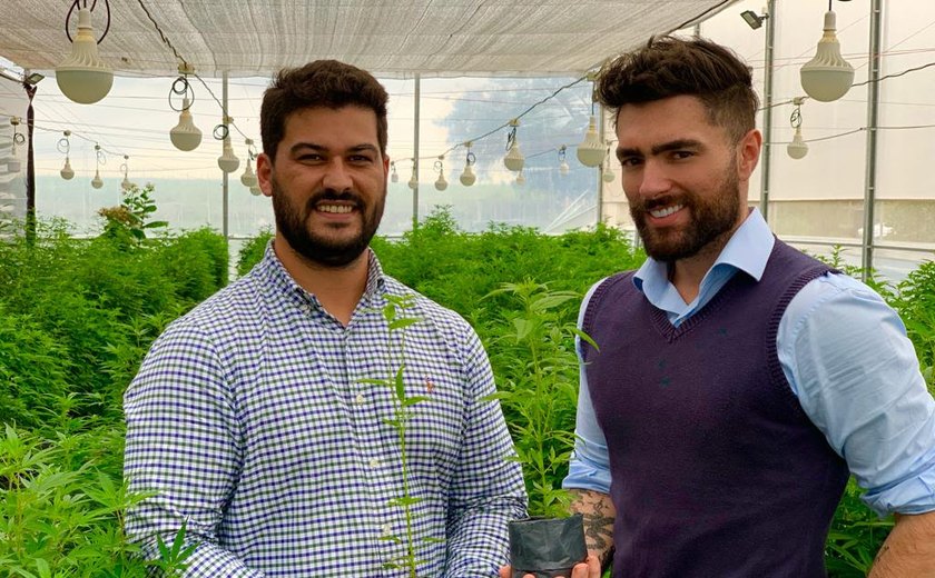Lei Pétala: avanços na regulamentação para acesso à cannabis medicinal no Paraná