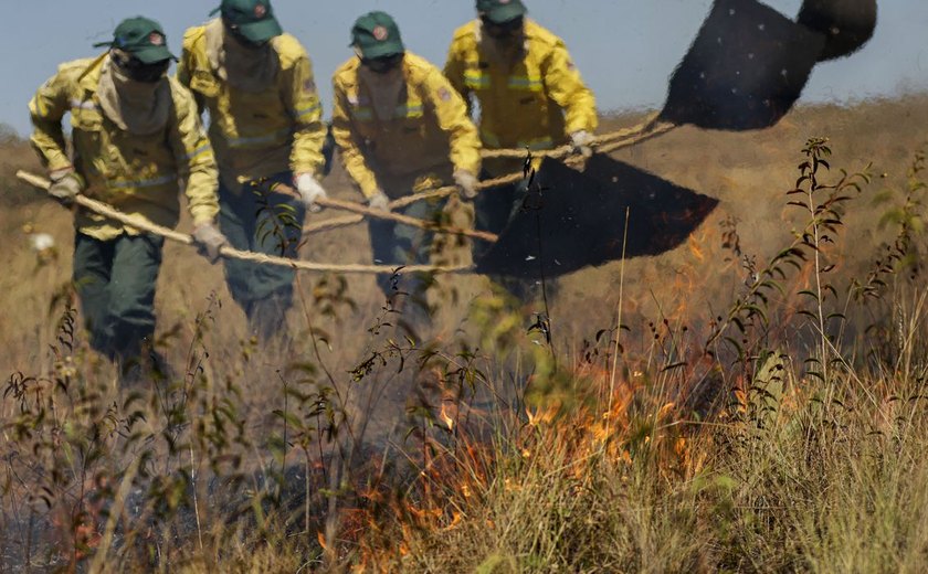 Uso consciente do fogo reduz incêndios na Chapada dos Veadeiros (GO)