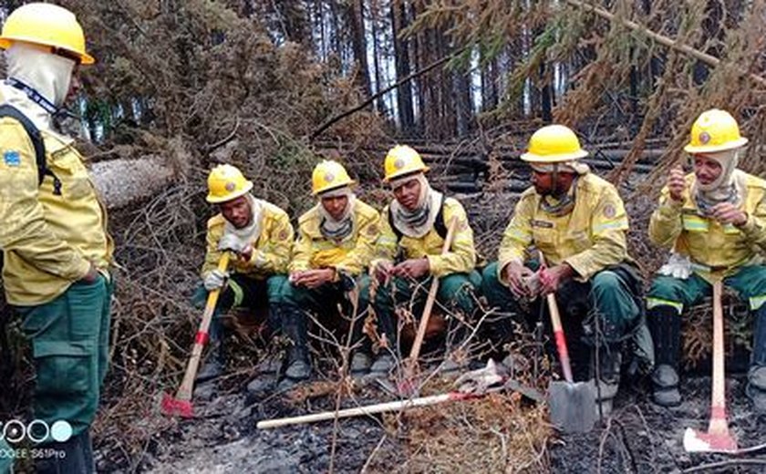 Quilombolas lideram combate ao fogo na Chapada dos Veadeiros