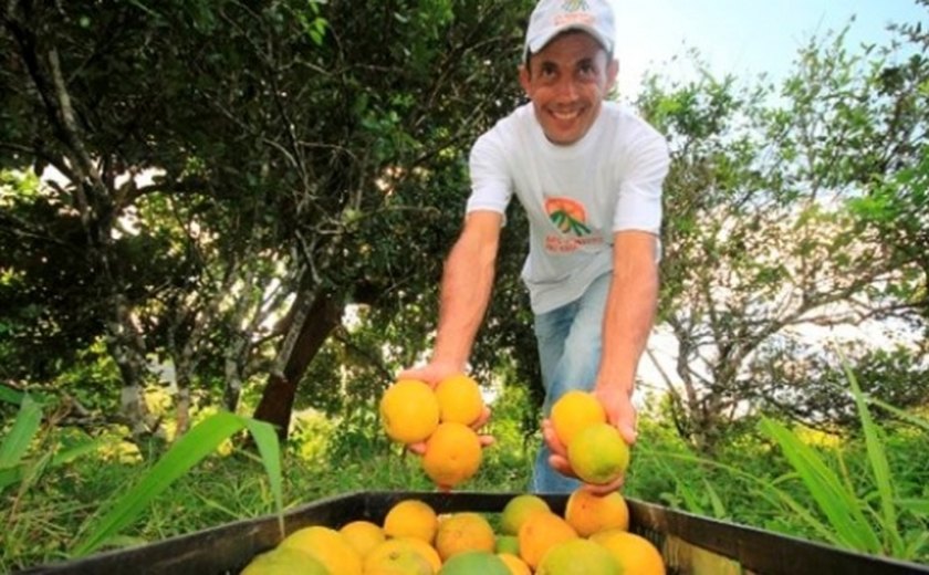 Estado promoverá primeiro seminário alagoano sobre fruticultura