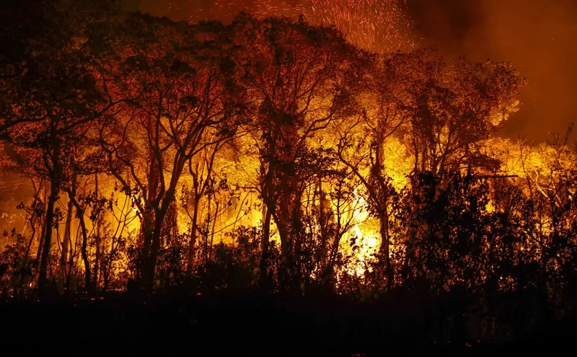 Incêndios florestais em Mato Grosso sobem para 50