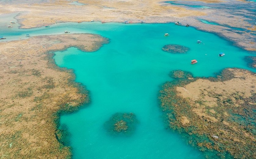 Praia do Patacho é eleita uma das praias mais limpas do Brasil