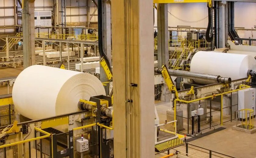 Setor de papelão tem resultado recorde em julho impulsionado por economia aquecida