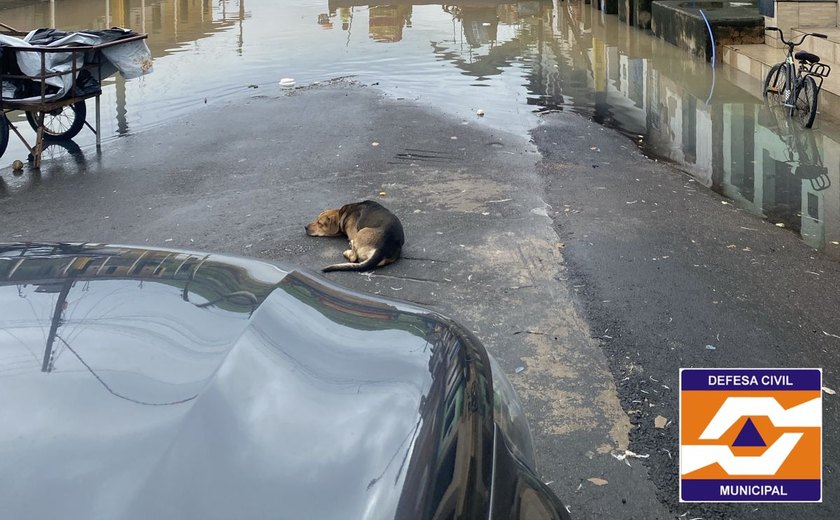 Rio Santo Antônio transborda e ruas em São Luís do Quitunde são tomadas pela água