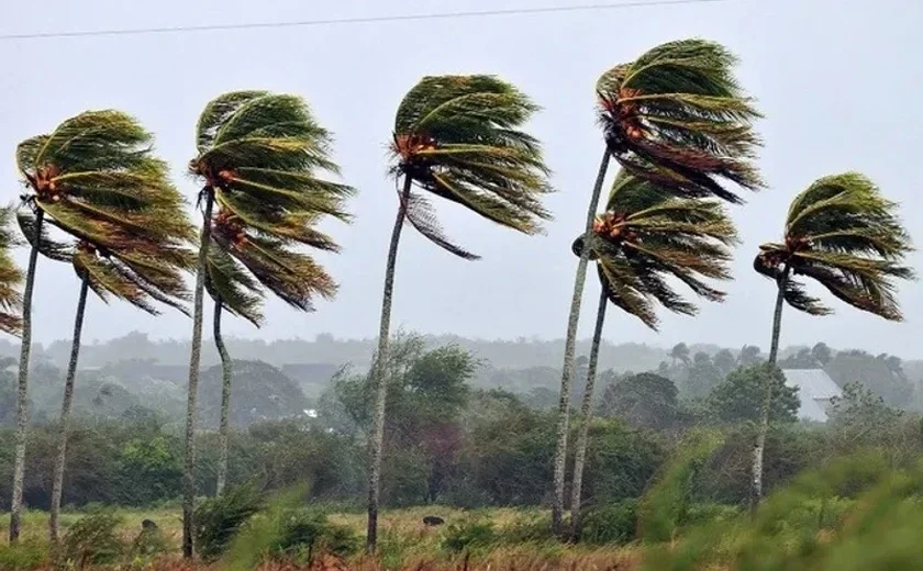 Tempestade de areia com ventos fortes na Austrália reduz visibilidade e bloqueia estradas