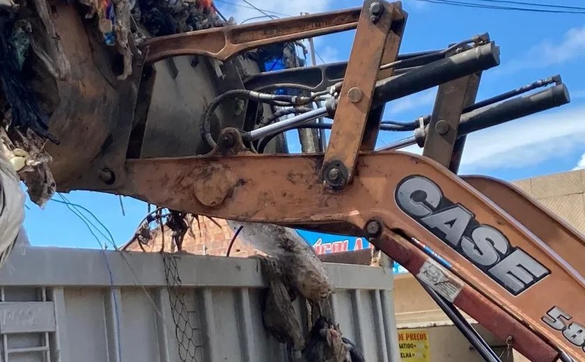 Escorpiões, baratas e ratos: casa com 10 toneladas de entulhos é alvo de limpeza em Maceió
