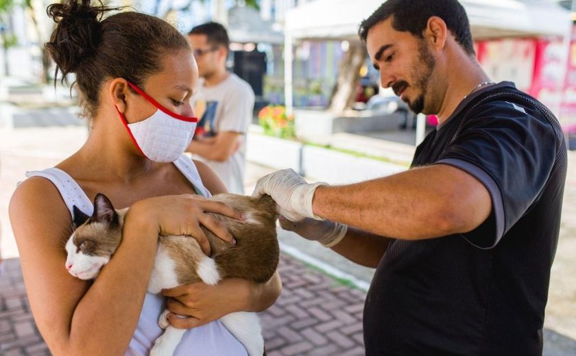 Prefeitura leva vacinação antirrábica neste domingo à Rua Aberta, na Ponta Verde