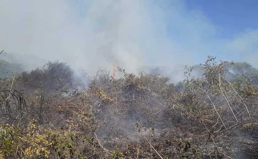 Fumaça de queimadas volta a encobrir Manaus e afeta qualidade do ar