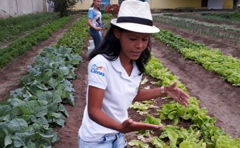 Projeto de hortas de ex-aluna da Uneal faz sucesso em São José da Tapera