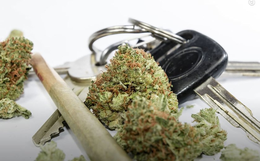 Maconha: Graves acidentes de trânsito aumentam após legalização, diz novo estudo; entenda
