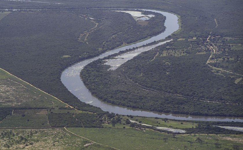 Brasil detém só 18% de patentes sobre flora endêmica da Mata Atlântica