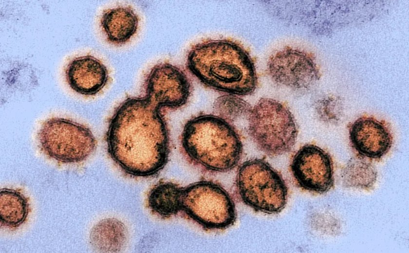 Covid: estudo que revelou por que alguns não se contaminam é o 1º a infectar pessoas de propósito; entenda