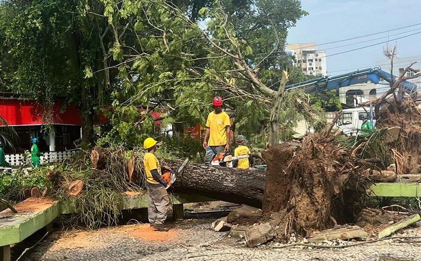 Chuvas fortes causam estragos em Niterói e Maricá