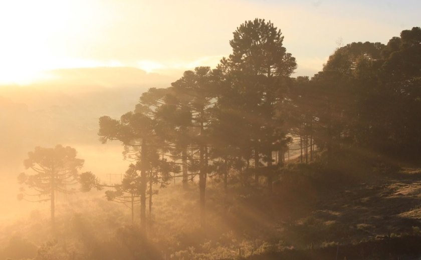Primeira onda de frio de 2025 chega ao Brasil a partir de hoje (27)