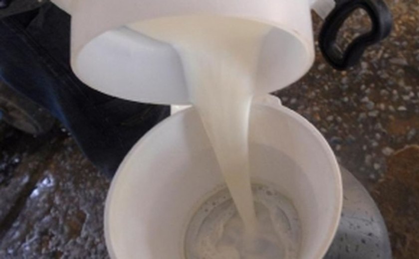 Campanha alerta sociedade sobre alergia alimentar