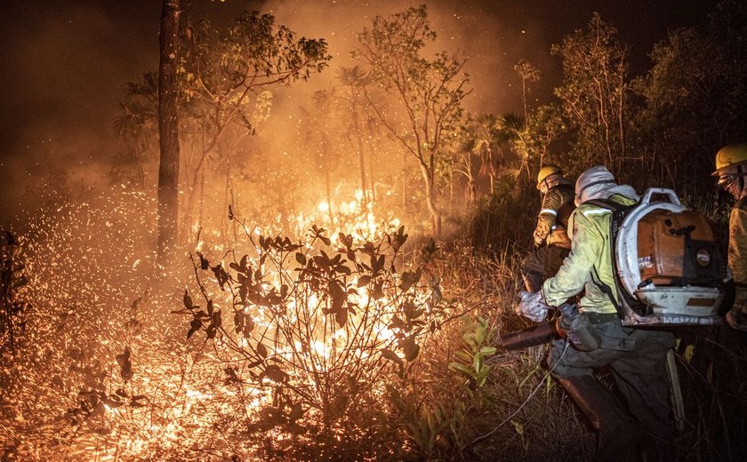 STF permite desapropriação de terra por incêndio ilegal e desmatamento