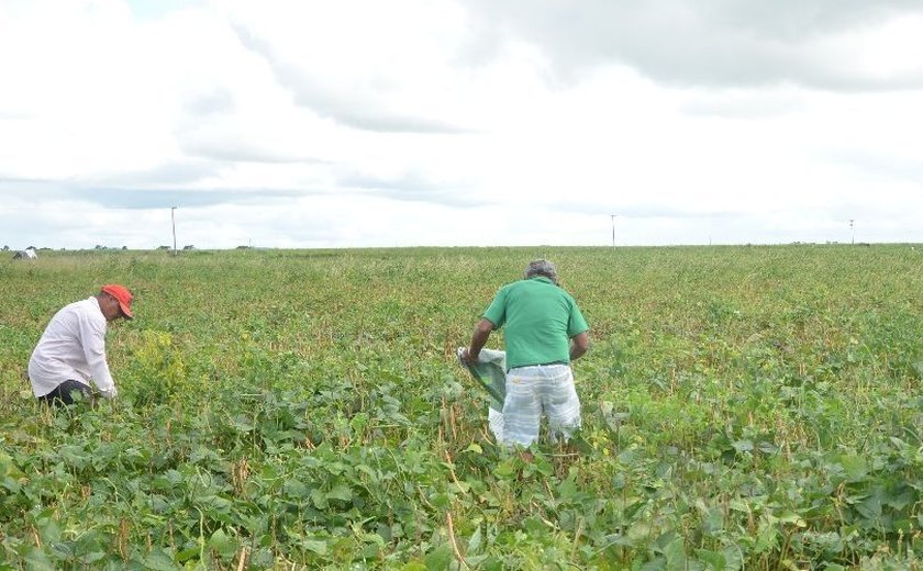 Prefeitura de Arapiraca não paga débito de mais de mil agricultores