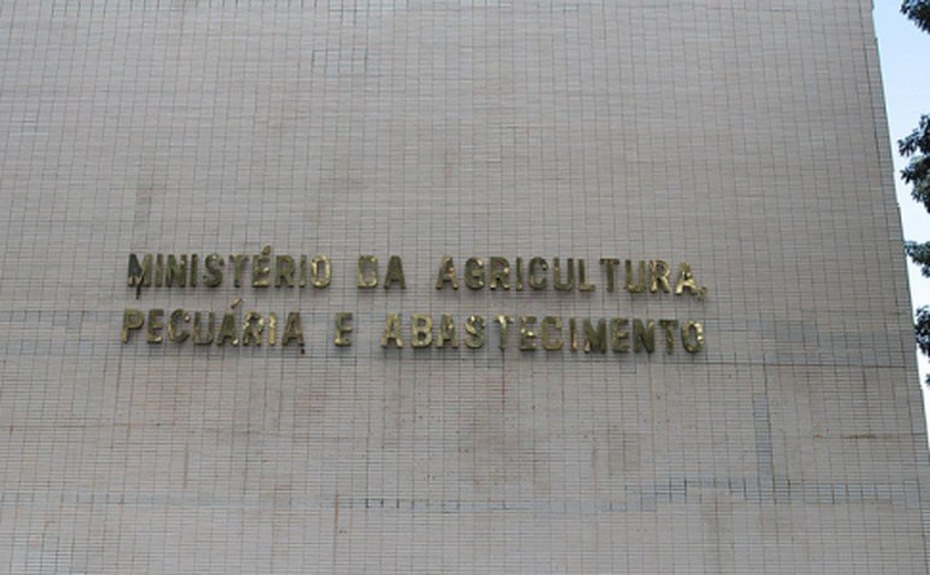 Ministério da Agricultura proíbe venda de 9 marcas de azeite de oliva