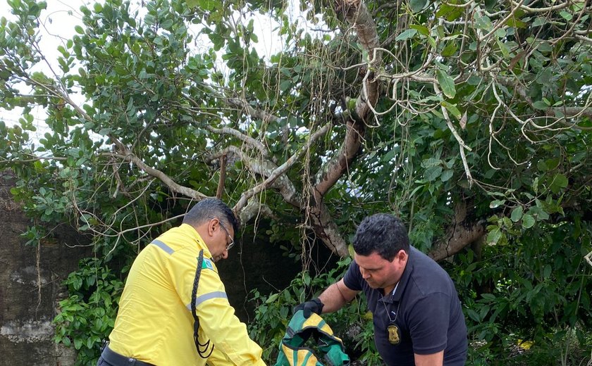 Fiscais da Seduma encontram mais de 90 coletes de mototáxi em barraca de caldo de cana