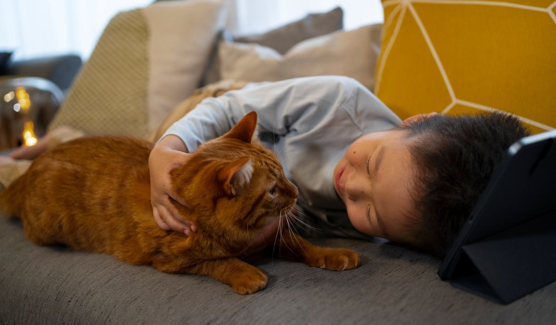 Animais de estimação em apartamentos exigem cuidados especiais