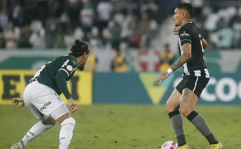 Com Palmeiras e Botafogo virtualmente classificados, veja como estão as chances de Libertadores no Brasileirão