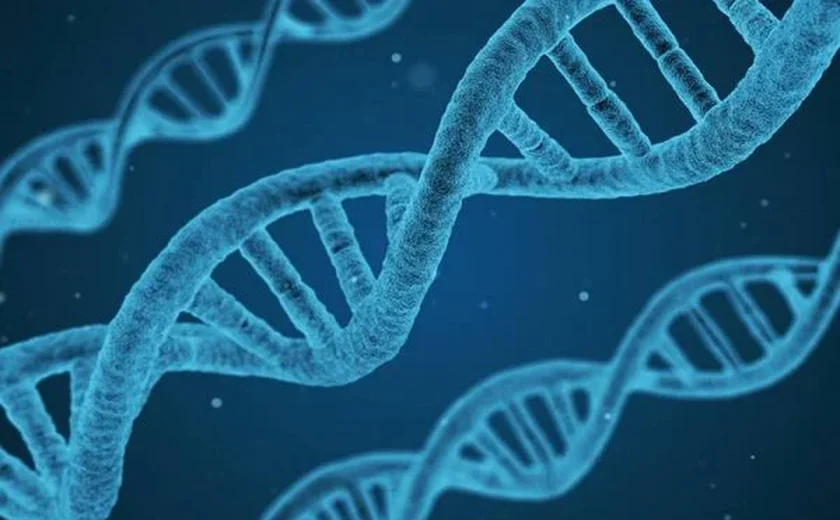 Estudo inédito descobre novos genes e variações associadas ao autismo
