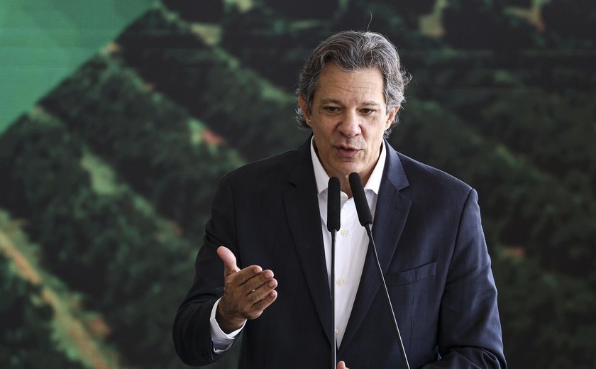Haddad defende harmonia entre poderes e diz que decisões do STF 'fortalecem a democracia'