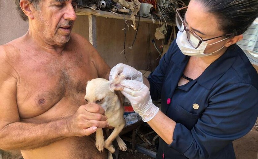 Gabinete da Causa Animal desenvolve apoio às ONGs e protetores independentes em Maceió