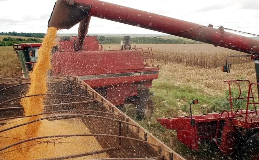 Cooperativas agrícolas lidam com extremos climáticos e adotam medidas para conter perdas e preservar seus resultados