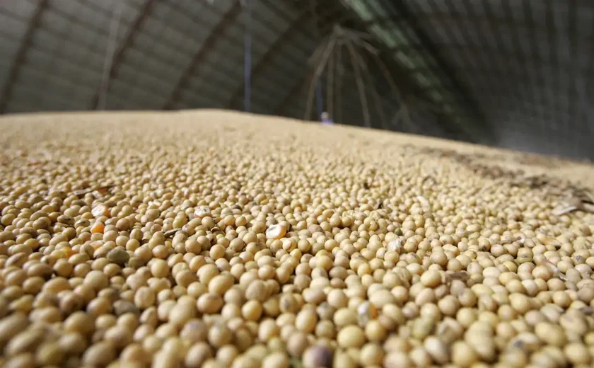 China abriu 5 novos mercado para produtos agropecuários do Brasil, diz ministro