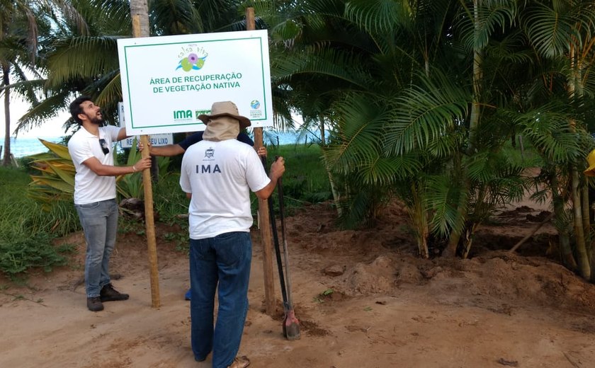 IMA/AL realiza o maior plantio continuo de restinga de Alagoas